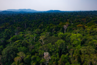 Antonio Augusto de Souza Coelho