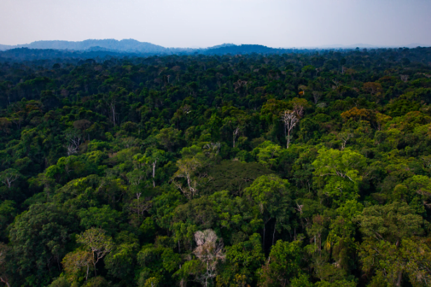 Antonio Augusto de Souza Coelho
