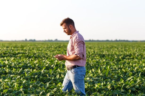 Agenor Vicente Pelissa