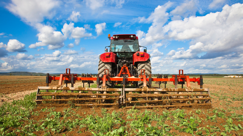 As mudanças climáticas estão afetando diretamente a agricultura e a segurança alimentar, como alerta Pablo Said.