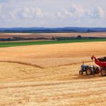 Pablo Said analisa os impactos das mudanças climáticas na segurança alimentar, colocando a agricultura em xeque.