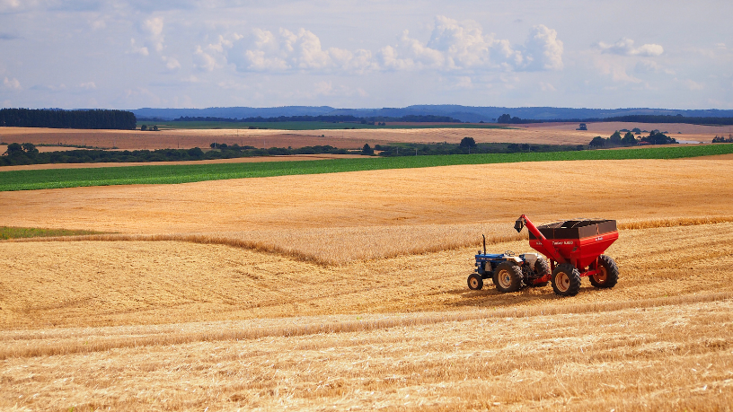 Pablo Said analisa os impactos das mudanças climáticas na segurança alimentar, colocando a agricultura em xeque.