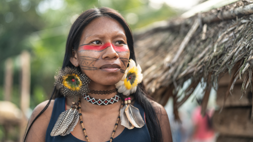 Mulher indígena na ALMT e a ampliação da representação política dos povos originários em Mato Grosso