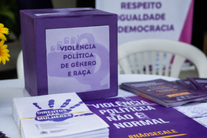 Violência Política de Gênero e Raça: Desafios e Estratégias de Enfrentamento nas Instituições Públicas