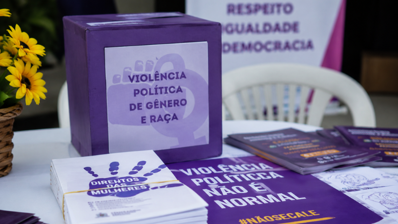Violência Política de Gênero e Raça: Desafios e Estratégias de Enfrentamento nas Instituições Públicas